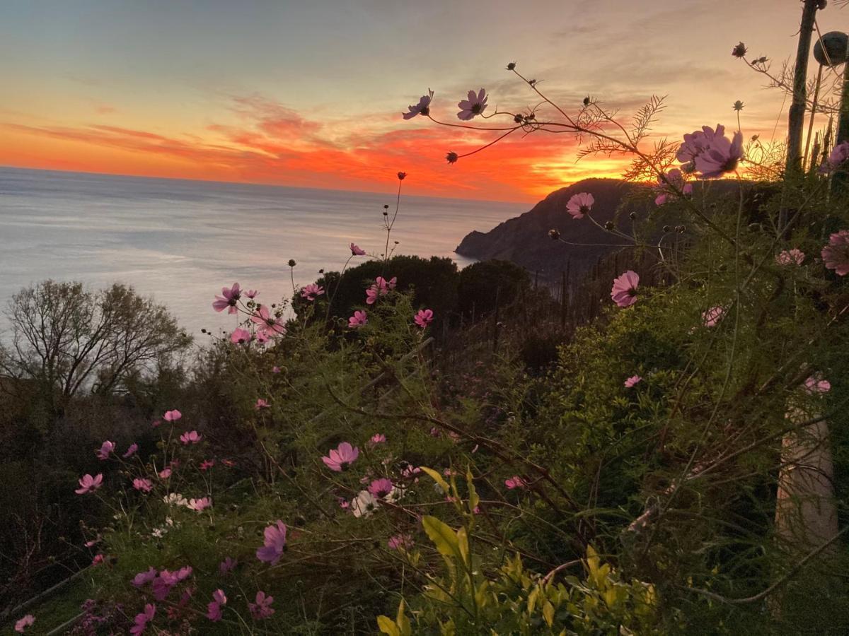 Villa Pietrafiore Monterosso al Mare Exterior photo