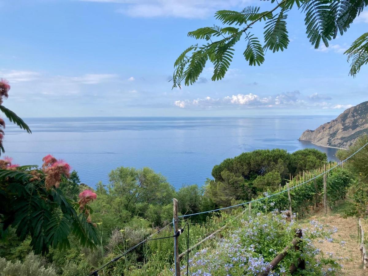 Villa Pietrafiore Monterosso al Mare Exterior photo