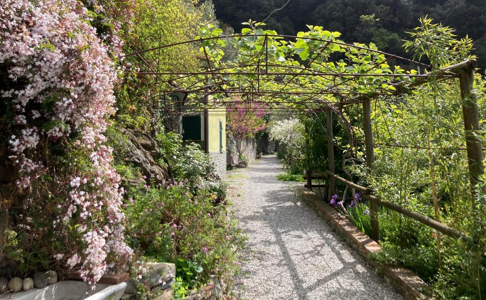 Villa Pietrafiore Monterosso al Mare Exterior photo
