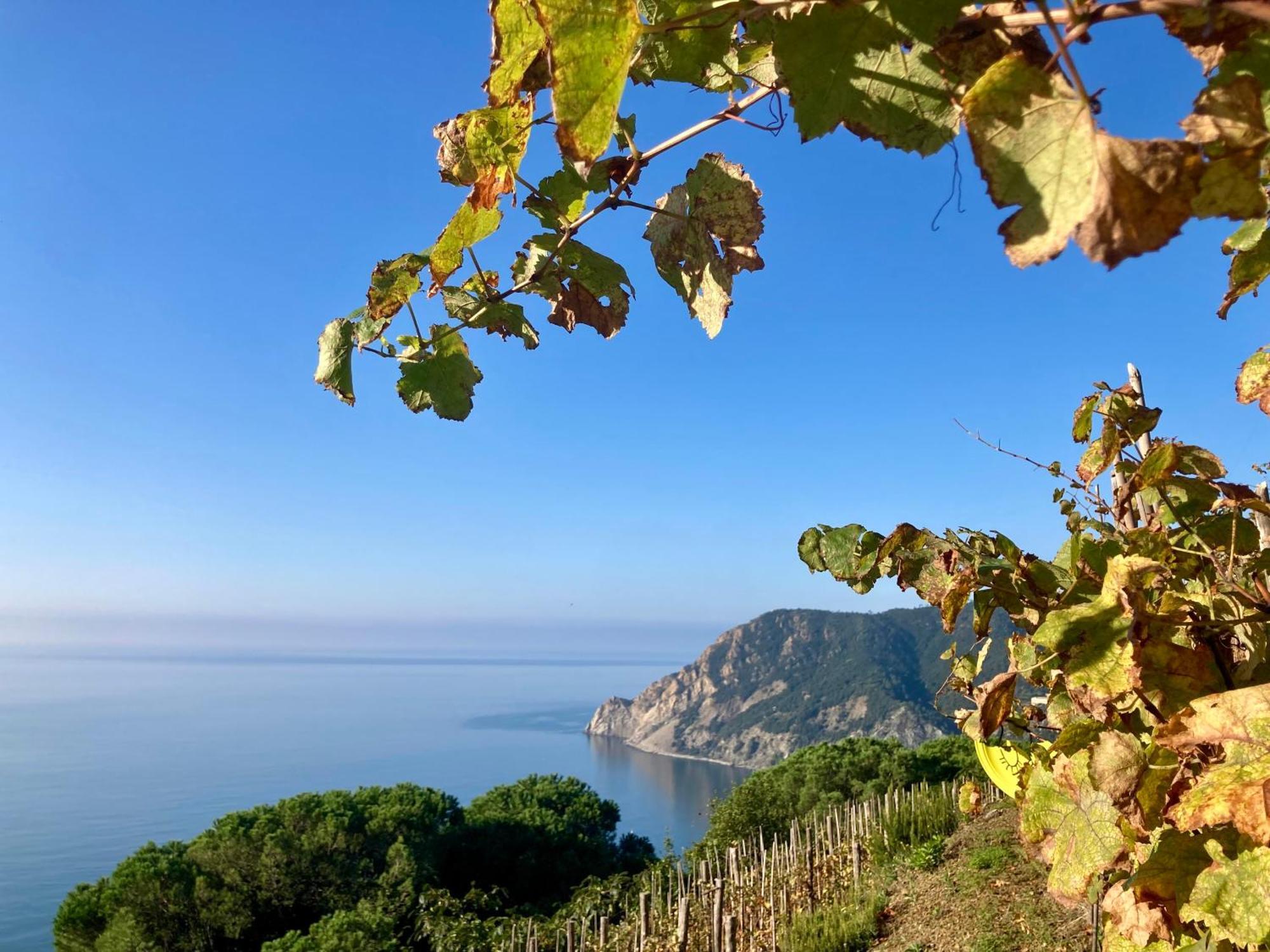 Villa Pietrafiore Monterosso al Mare Exterior photo
